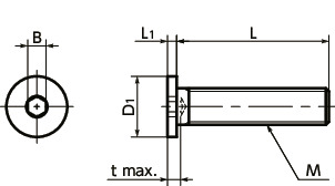 SSHH-C22Hex Socket Head Cap Screws with Special Low Profile (Hastelloy C-22 equiv.)寸法図