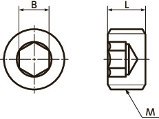 SFPHex Socket Head Parallel Screw Plugs寸法図