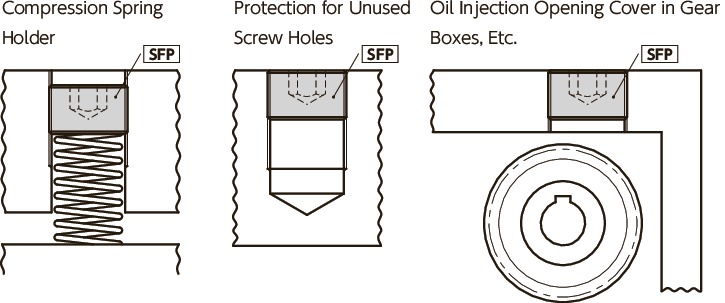 SFPHex Socket Head Parallel Screw Plugs