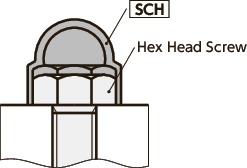 SCHCover Caps for Hex Head Screw
