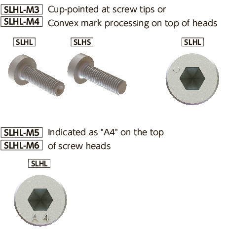 SLHLHex Socket Head Cap Screws with Low Profile (SUS316L)
