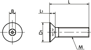 SRHFSHex Socket Flat Head Bolts (with Pin)寸法図