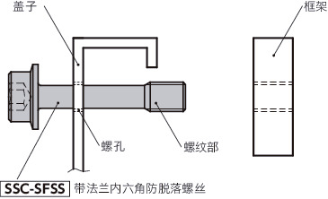 SSC-SFSS带法兰内六角防脱落螺丝