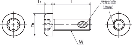 SNPX-TZB-ALK梅花槽盘头小螺钉（带尼龙熔敷）寸法図