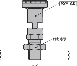 PXYS分度柱塞 - 带锁定机构
