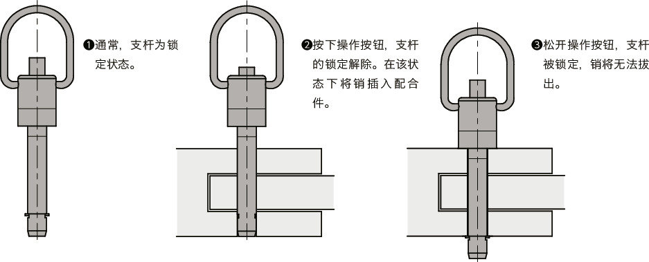 PBPLS锁销 - 环型