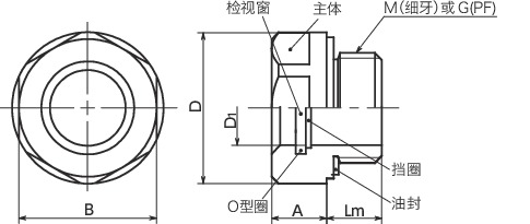 QLGAX油位窗 - 符合ATEX指令寸法図