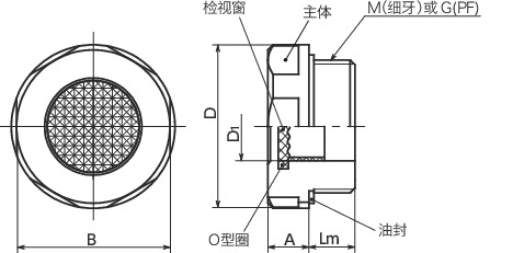 QLPAL油位窗 - 棱镜型寸法図