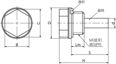 QPMAL螺塞 - 带磁铁寸法図