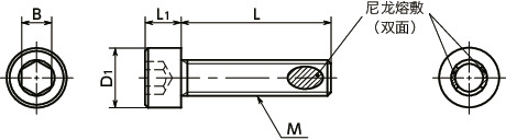 SNSLG-ALK高强度不锈钢内六角圆柱头螺栓（带尼龙熔敷）寸法図