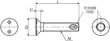 SRTFS-ALK-SET双孔埋头小螺钉（带尼龙熔敷）压花垫圈套件寸法図
